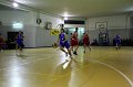 Basket 443017